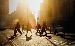 The Blind Spot Coverwebsite