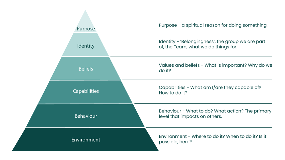neurological levels/logical levels of change