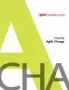 Directing Agile Change