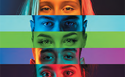 Perspectives 245X150