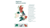 Regional Network Locator