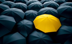 shutterstock_723430327 (1).jpg