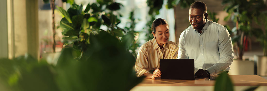Two business colleagues are working together on a laptop, surrounded by plants in a modern office, enjoying the natural light