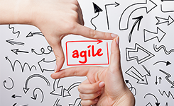 agile-news.png